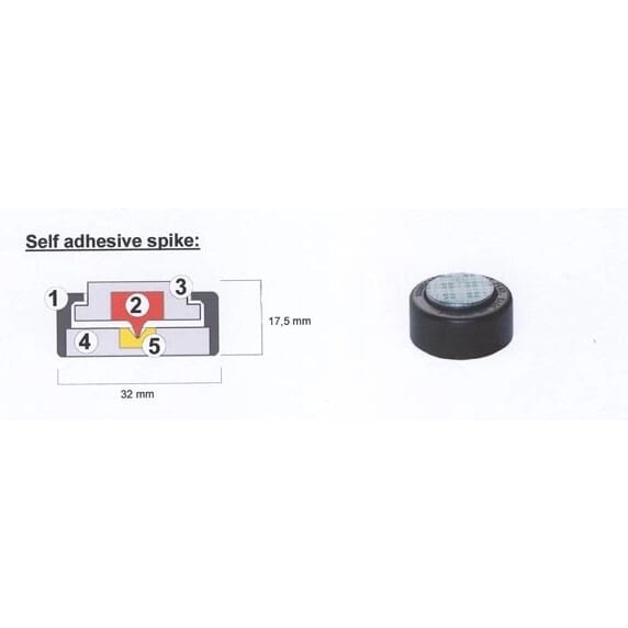 148005_Rel 148005-2.jpg