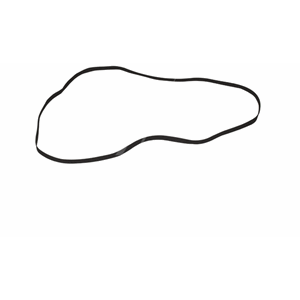 Belte, 205 x 5 x 0.6 mm