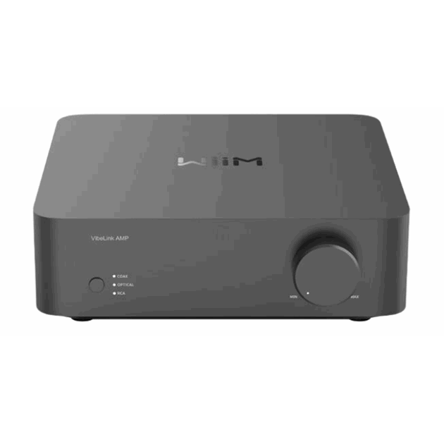 103103 wiimvibelinkfront.png