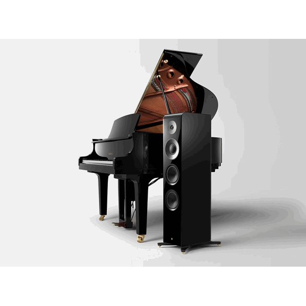 NS2000A_Rel stulvtub.png