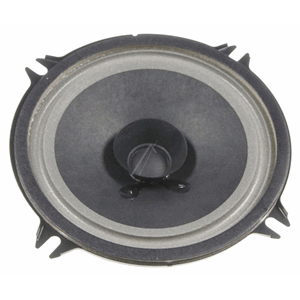 Visaton 13 cm (5") fullrange speaker