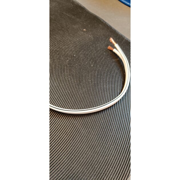 8171_Rel IMG20250322103532.jpg