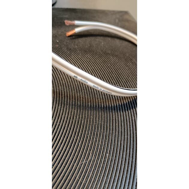 8171_Rel IMG20250322103538.jpg