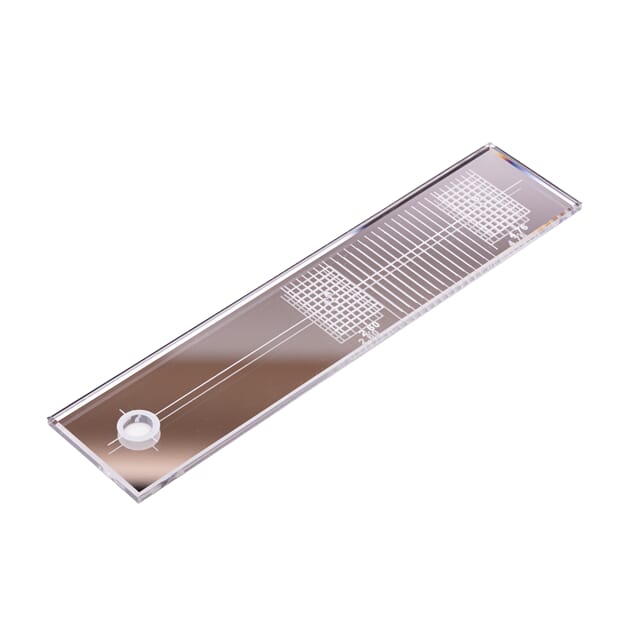 6089_Rel 6089_6-scaled.jpg